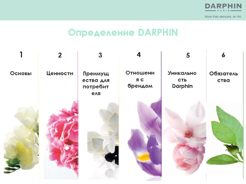 Определение DARPHIN